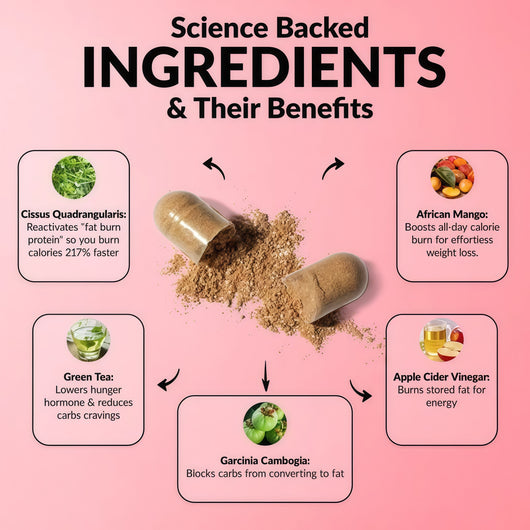GLEE FULL SUPPS Meno Shred Fat Burner – Supports Metabolism & Helps Achieve Slimming Goals for Women